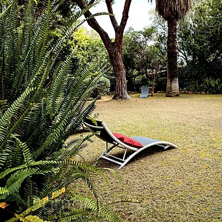 Meaculpa - A Pochi Passi Dal Mare Is Morus