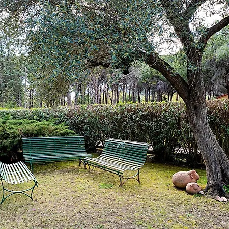 Meaculpa - A Pochi Passi Dal Mare Villa