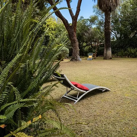 Meaculpa - A Pochi Passi Dal Mare Villa *